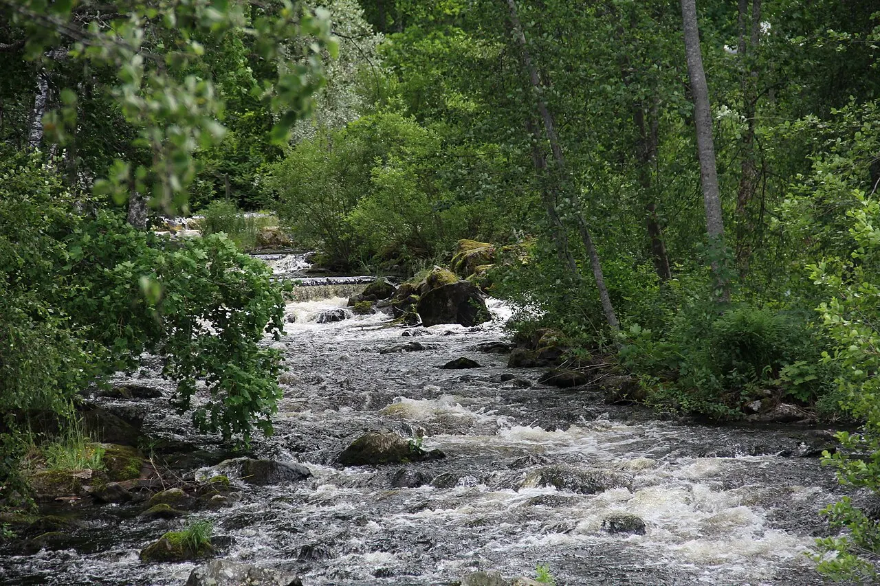Enonkoski, Suomi. - Koski on myös nimeltään Enonkoski.