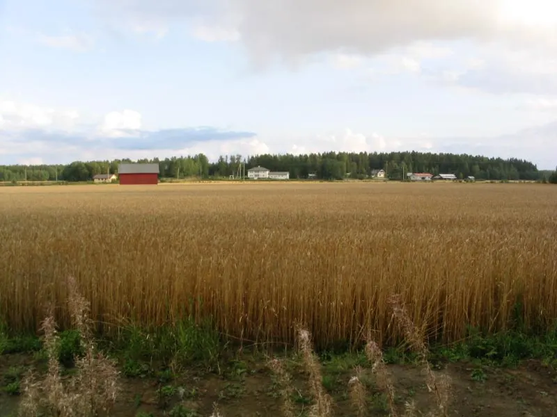 Valokuva: Helsingby (Pohjanmaan maakunta)